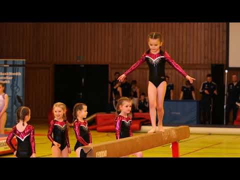 Fyrireikingarlið amboð, gentur