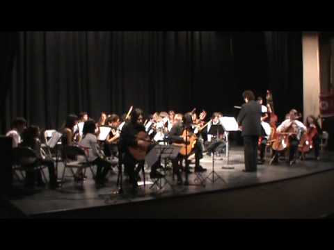 Carlos Villalba y Martin Fedyna - Orquesta Amadeus - Vivaldi RV 532, 1° mov.