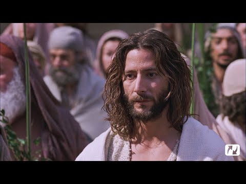 John 8 | Scribbling in The Sand | The Life of Jesus