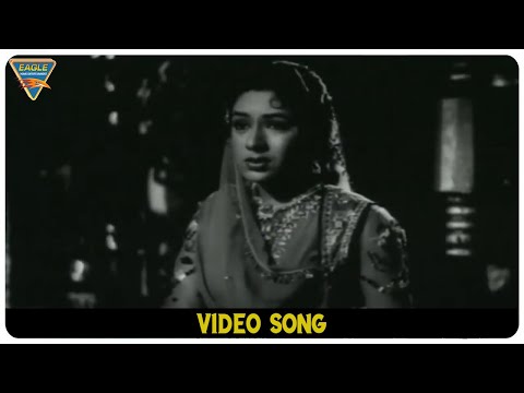 Raat Suhani Jhoome Video Song ||  Rani Rupmati || Bharat Bhushan & Nirupa Roy  | Eagle classic Songs