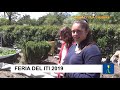 VIDEO DE LA 20º EDICION DE LA FERIA DE CIENCIAS DEL ITI LA CUMBRE