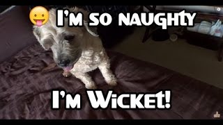 Partially Popped Popcorn Perfection [Day 1109]