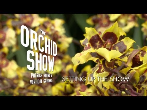 Setting Up The Orchid Show: Patrick Blanc's Vertical Garden