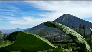 Download lagu Story WA Pemandangan alam indah - Adem liatnya mp3