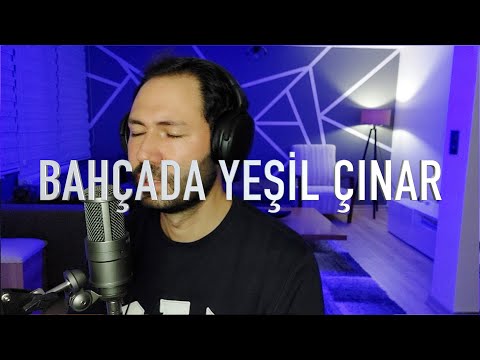 Bahçada Yeşil Çınar Cover