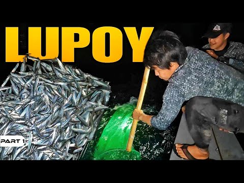 P1-SUMALOK NG LUPOY - EP1232