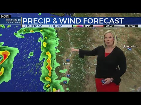 11 p.m. Wednesday evening forecast KOIN 6 News Feb. 28, 2019