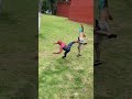 Homem Aranha Pega Ladrão Ao Vivo