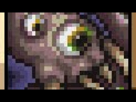 A CORRUPTION-DWELLING WORM?! Terraria Eater of Worlds(Master Mode + For The Worthy, No Damage)