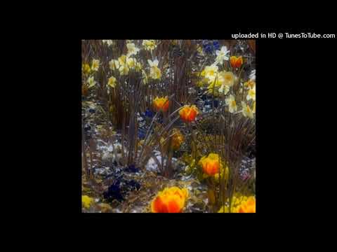 Flagalova - Tunes For Solitary Spots EP - 02 In The Field