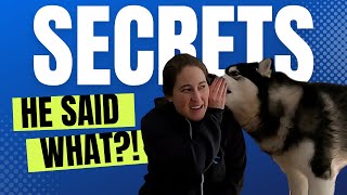 Teach your Dog to Tell Secrets!