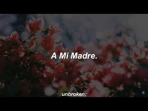 mon laferte - a mi madre // letra