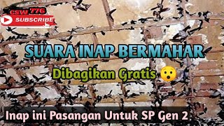 Download lagu SUARA INAP WALET BERMAHAR PULUHAN JUTA Dibagikan Gratis..!! Suara Inap GEN 2 By Alfan Walet Maros mp3