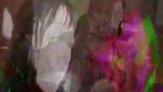 PALMFLOWER - Jackanory Stories