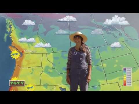 How To Grow An Organic Vegetable Garden: Episode 4: Winter Gardening