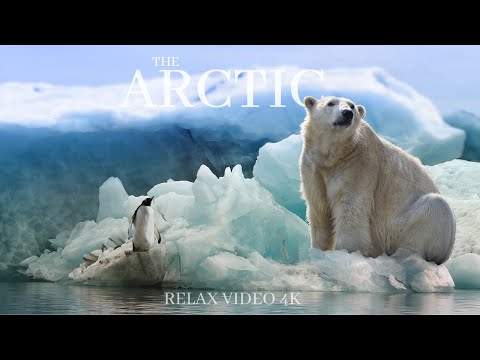 THE ARCTIC 4K - WITH RELAXING MUSIC -  L 'ARTICO 4K - CON MUSICA RILASSANTE