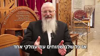 כל מכה בעזה מגבירה את האור | הרב שמואל אליהו | הלכה יומית | י״ח אדר תשפ״ה (הרב שמואל אליהו) - התמונה מוצגת ישירות מתוך אתר האינטרנט יוטיוב. זכויות היוצרים בתמונה שייכות ליוצרה. קישור קרדיט למקור התוכן נמצא בתוך דף הסרטון