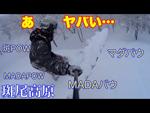 Video: 斑尾高原スキー場 パウダー外してもパウダー！20210217水曜【虫くんch】
