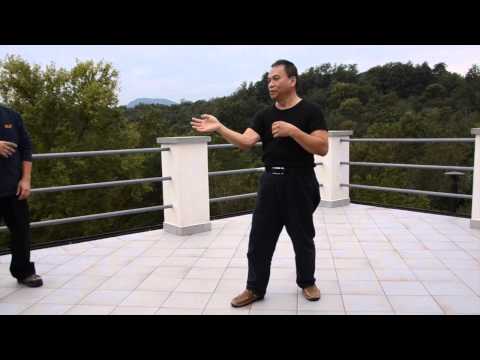 Master Lau's little White Crane& Taiji training