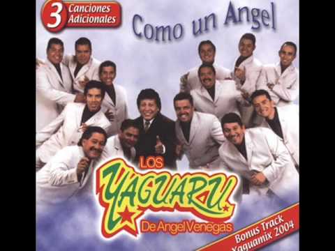 download lagu mp3 mp4 Cuentale Que Has Pasado Mil Noches Llorando Por Mi, download lagu Cuentale Que Has Pasado Mil Noches Llorando Por Mi gratis, unduh video klip Cuentale Que Has Pasado Mil Noches Llorando Por Mi