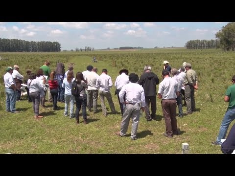 Día de Campo en la Unidad Experimental Palo a Pique - Control de cardilla