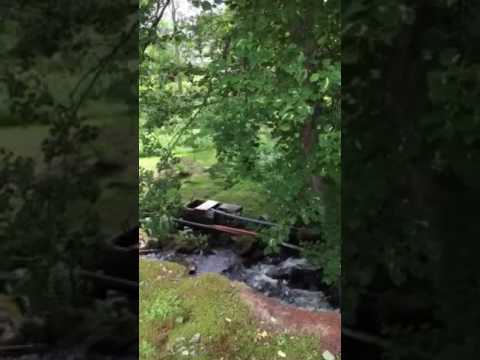 2016 Sweden - Älgå cemetery