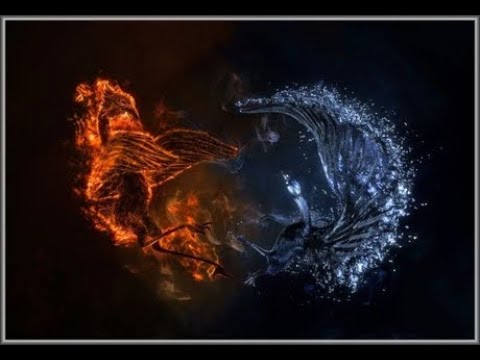 How to PvP like a Phoenix.