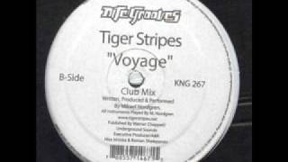 Tiger Stripes - Voyage (Club Mix)