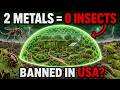 Two Cheap Metals Eliminate ANY Bug Forever — The Discovery They Tried to Hide