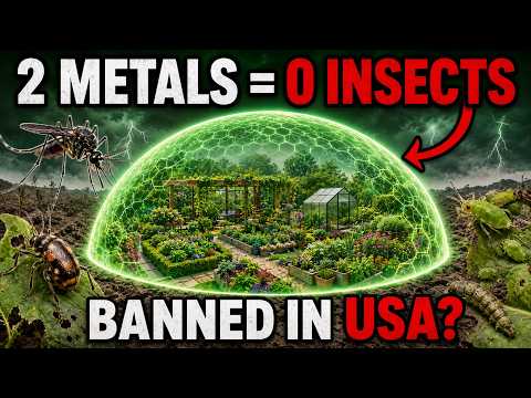 Two Cheap Metals Eliminate ANY Bug Forever — The Discovery They Tried to Hide