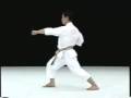 Kagawa Karate Gyaku Zuki