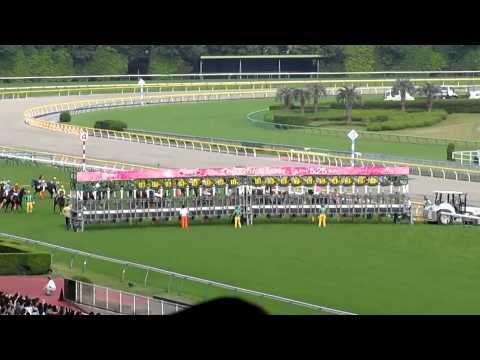 【競馬】2014.5.25　第75回優駿牝馬（オークス） - 75th The Yushun Himba (Japanese Oaks)