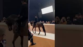 Download lagu FASHION SHOW 2022: Equestrian Theme By Chanel mp3 Download lagu FASHION SHOW 2022: Equestrian Theme By Chanel mp3