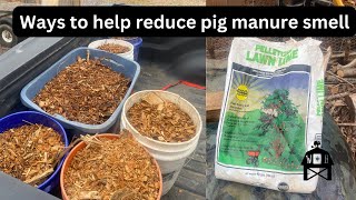 Easy ways to reduce the smell of a pig pen #pig #pork #homestead #raisingpigs #hack #duroc