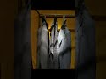 SPECIALE PITTI IMMAGINE UOMO 106