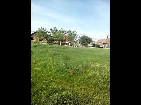 Santandrei Oradea Bihor 😎😎😍