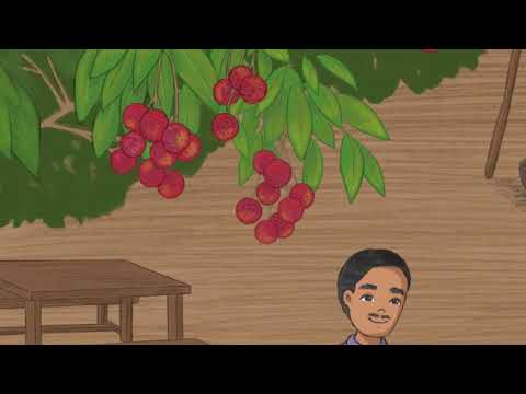 Pollination- Our Little Helpers