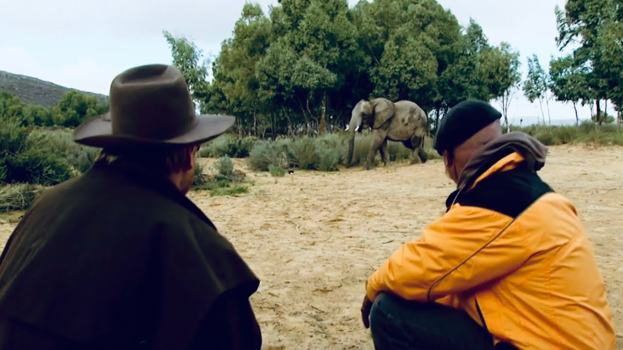 Were Jamie and Adam Fooled By This Elephant?
