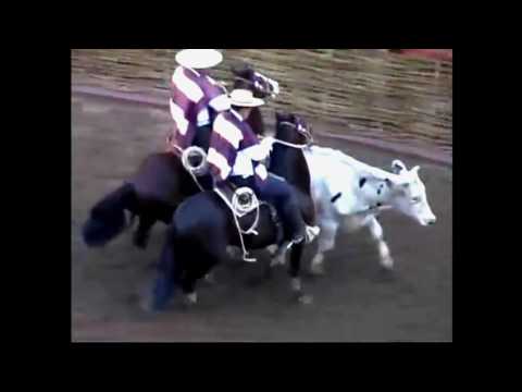 Las Callanas, Caballada finalista en Campeonatos Nacionales de Rodeo