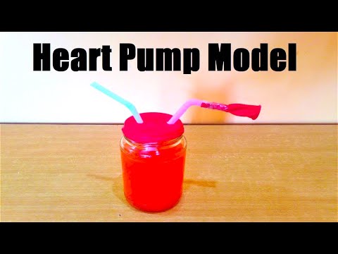 heart working model making blood pumping science exhibition best out of waste howtofunda