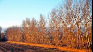 In My Life by Bette Midler.