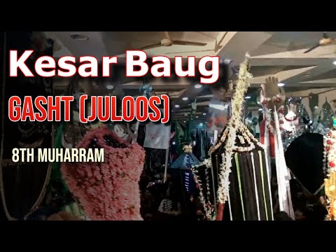 Kesar Baug | 8th Muharram | 2016-17 | 1438