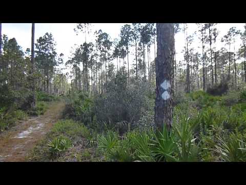 Reading and using trail blazes