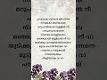 Parayathe Vannen Lyrics Brodaddy Malayalam Lyrics Shortsfeed Lyrics Malayalam Shorts