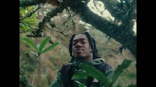 Marquesina Lyrics English Translation