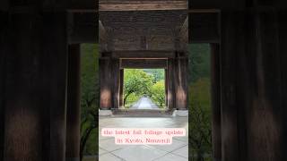 Japan Kyoto Autumn leaves #autumn #kyoto #buddism