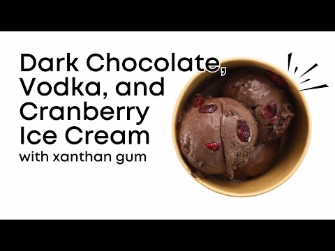 Dark N' Spunky | Dark Chocolate, Vodka, and Cranberry Ice Cream