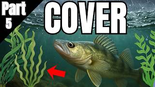 Cover vs Structure: The Walleye Location Trick!