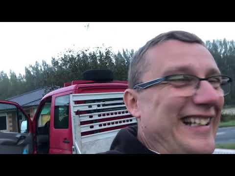 Garázsvideó 31. - Aleko Diesel pickup és személyautó szállítás