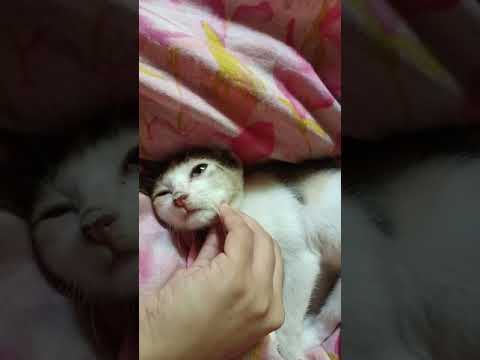 Subhadra is having a good time